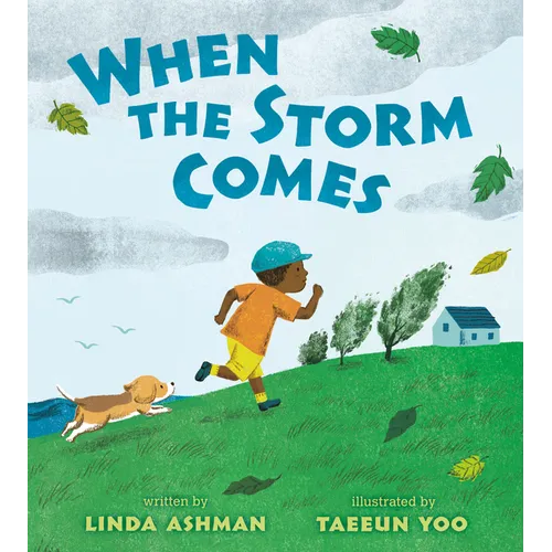 When the Storm Comes - Paperback