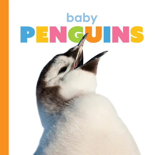 Baby Penguins - Board Book