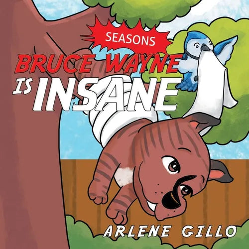 Bruce Wayne Is Insane: Seasons - Paperback