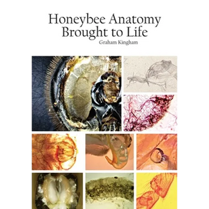Honeybee Anatomy Brought to Life - Paperback
