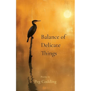 Balance of Delicate Things - Paperback