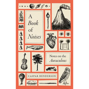 A Book of Noises: Notes on the Auraculous - Hardcover
