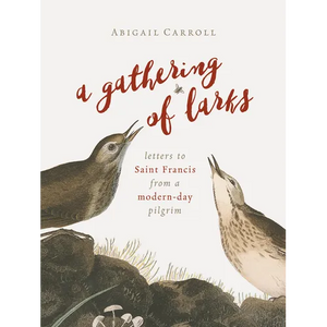 A Gathering of Larks: Letters to Saint Francis from a Modern-Day Pilgrim - Paperback