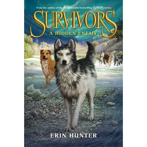 A Hidden Enemy - Paperback