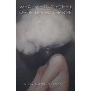 What We Did to Her Made the Water Rise - Paperback