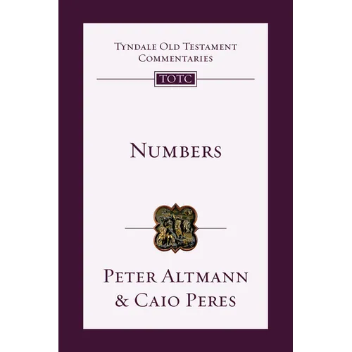 Numbers: An Introduction and Commentary Volume 4 - Paperback