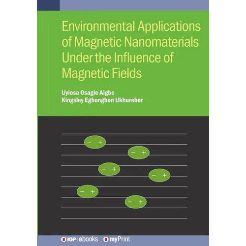 Environmental Applications of Magnetic Nanomaterials Under the Influence of Magnetic Fields - Paperback