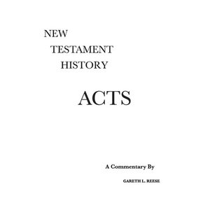 Acts: A Critical and Exegetical Commentary - Hardcover
