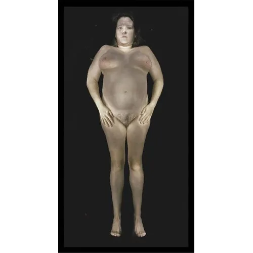 Gary Schneider: Nudes - Hardcover