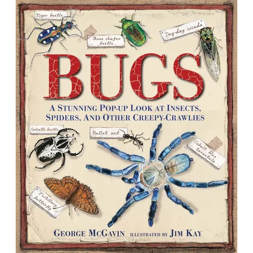 Bugs: A Stunning Pop-Up Look at Insects, Spiders, and Other Creepy-Crawlies - Hardcover