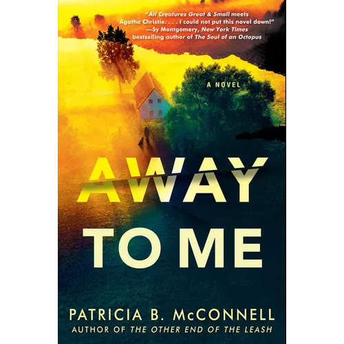 Away to Me - Hardcover