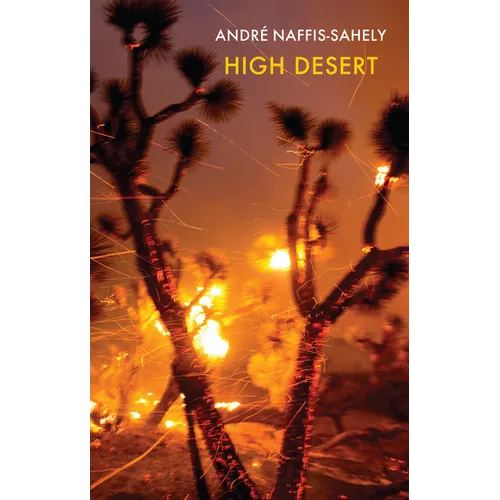 High Desert - Paperback