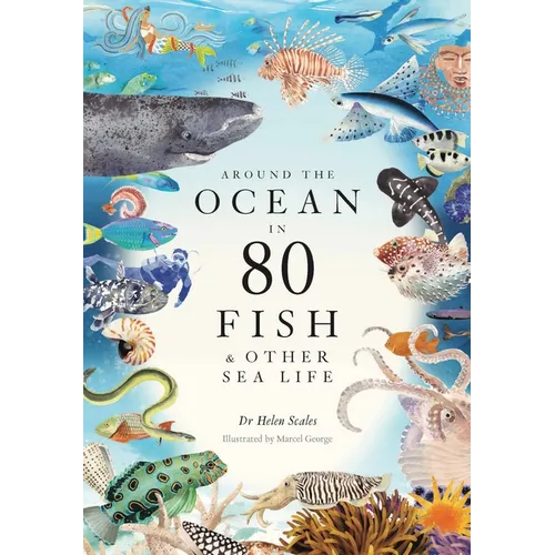 Around the Ocean in 80 Fish and Other Sea Life - Hardcover