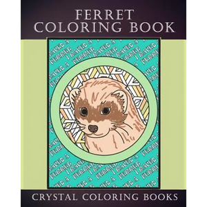 Ferret Coloring Book: 30 Hand Drawn Ferret Drawings. If You Love Ferrets Or Know Someone That Does Then this Is The Perfect Coloring Book Or Gift. - Paperback