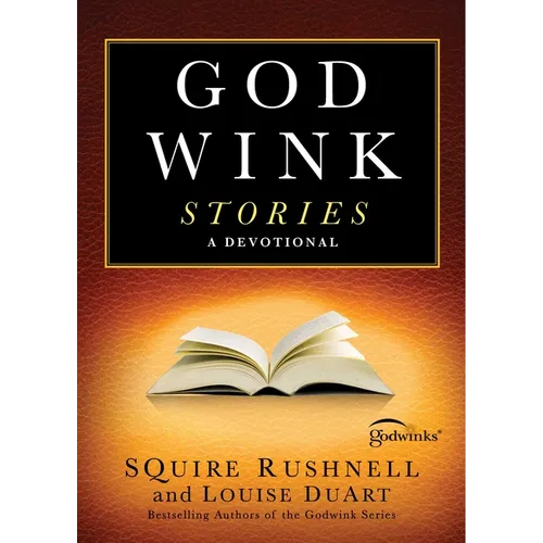 Godwink Stories: A Devotional - Paperback