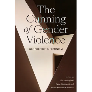 The Cunning of Gender Violence: Geopolitics and Feminism - Paperback