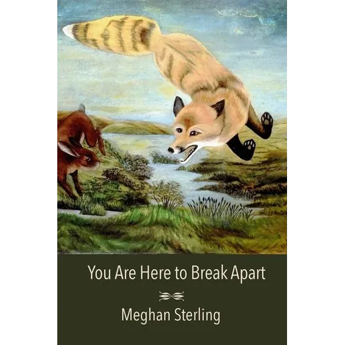 You Are Here to Break Apart - Paperback