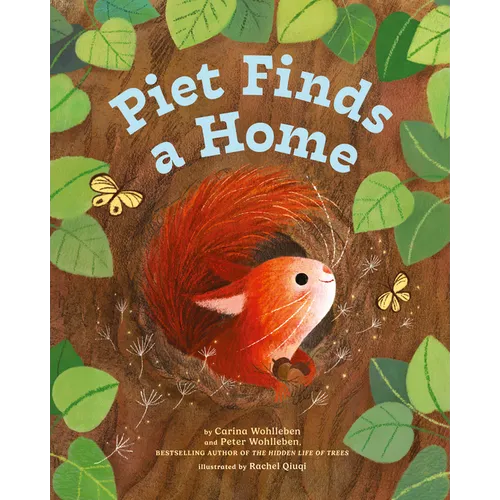 Piet Finds a Home - Hardcover