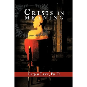 Crisis in Meaning - Paperback