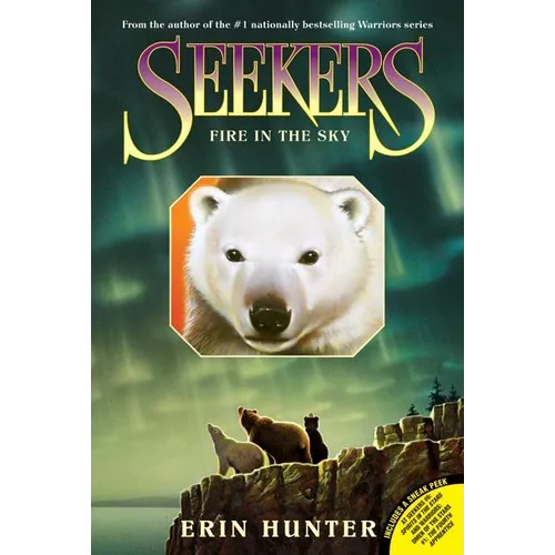 Seekers #5: Fire in the Sky - Paperback