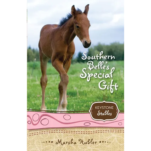 The Southern Belle's Special Gift: 3 - Paperback