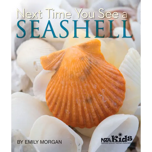 Next Time You See a Seashell - Paperback