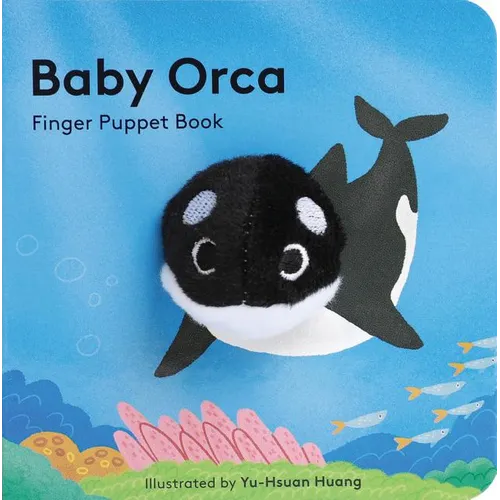 Baby Orca - Board Book