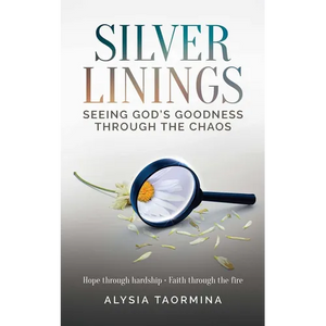 Silver Linings - Paperback