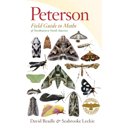 Peterson Field Guide to Moths of Northeastern North America - Paperback