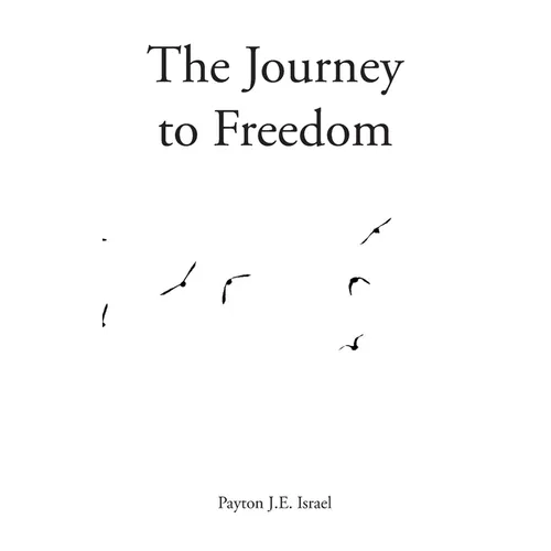 The Journey to Freedom - Paperback