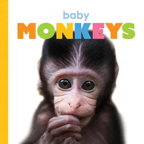 Baby Monkeys - Board Book