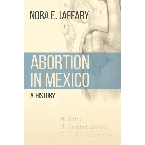 Abortion in Mexico: A History - Paperback