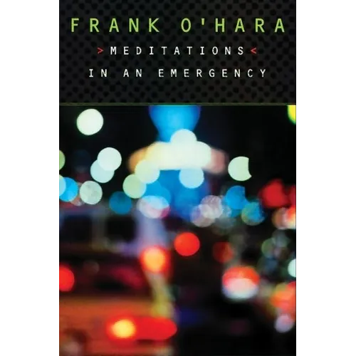 Meditations in an Emergency - Paperback