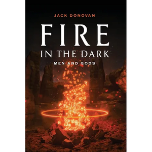 Fire in the Dark - Paperback