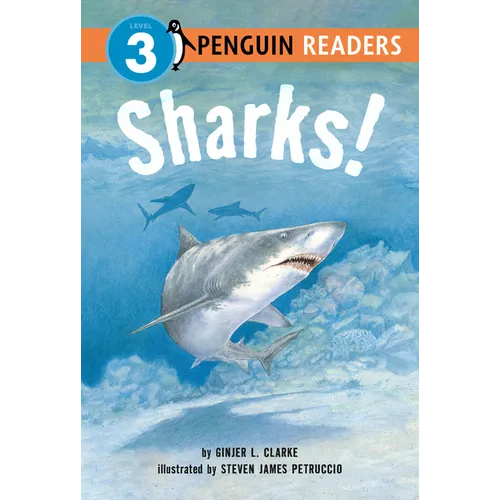 Sharks! - Hardcover