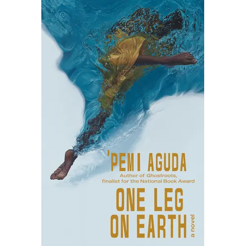 One Leg on Earth - Hardcover
