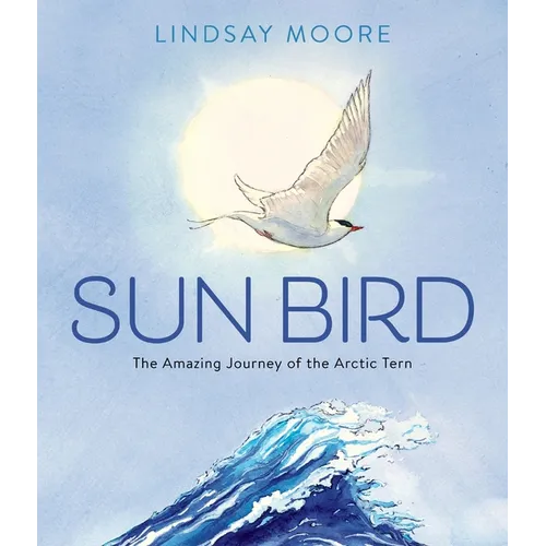 Sun Bird: The Amazing Journey of the Arctic Tern - Hardcover