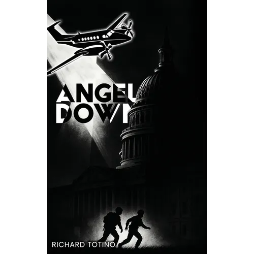 Angel Down - Hardcover