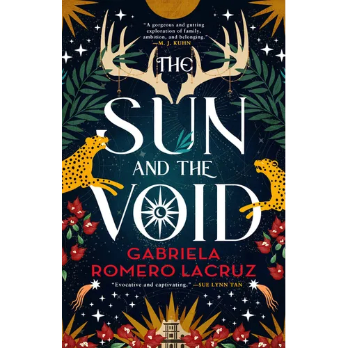 The Sun and the Void - Paperback