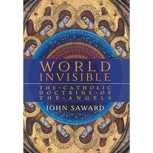 World Invisible: The Catholic Doctrine of the Angels - Hardcover