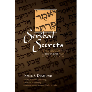 Scribal Secrets: Extraordinary Texts in the Torah and Their Implications - Paperback
