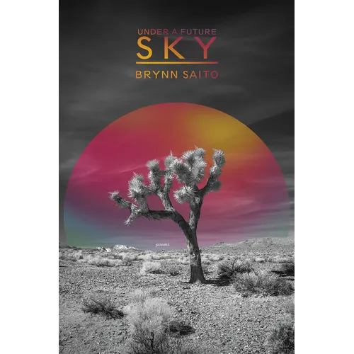 Under a Future Sky - Paperback