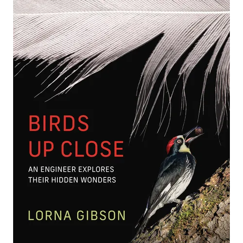 Birds Up Close: An Engineer Explores Their Hidden Wonders - Hardcover