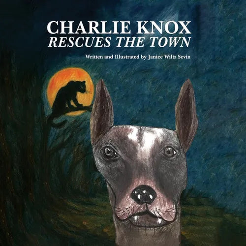 Charlie Knox Rescues the Town - Paperback