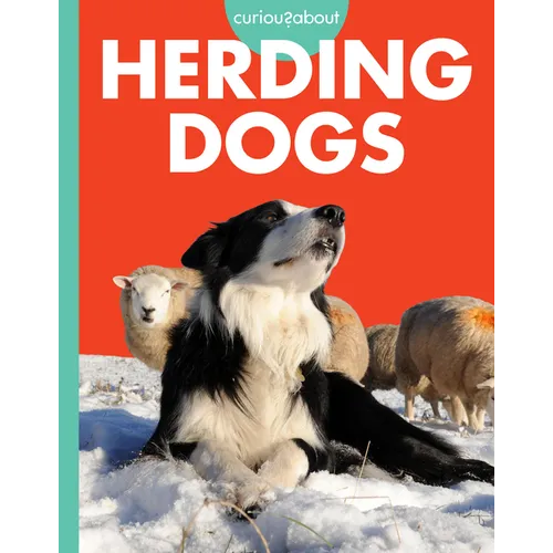 Curious about Herding Dogs - Paperback