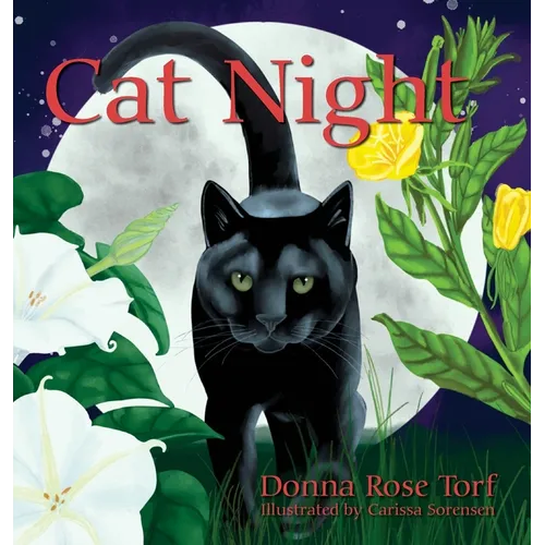 Cat Night - Hardcover
