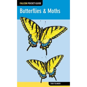 Butterflies & Moths - Paperback