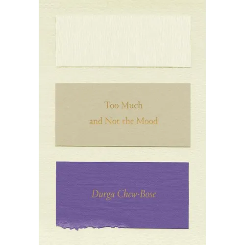 Too Much and Not the Mood: Essays - Paperback