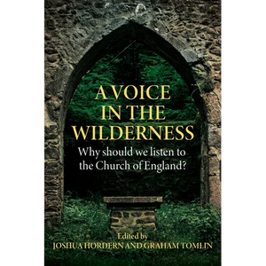 A Voice in the Wilderness: Why should we listen to the Church of England? - Paperback