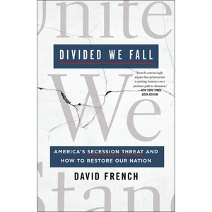 Divided We Fall: America's Secession Threat and How to Restore Our Nation - Paperback